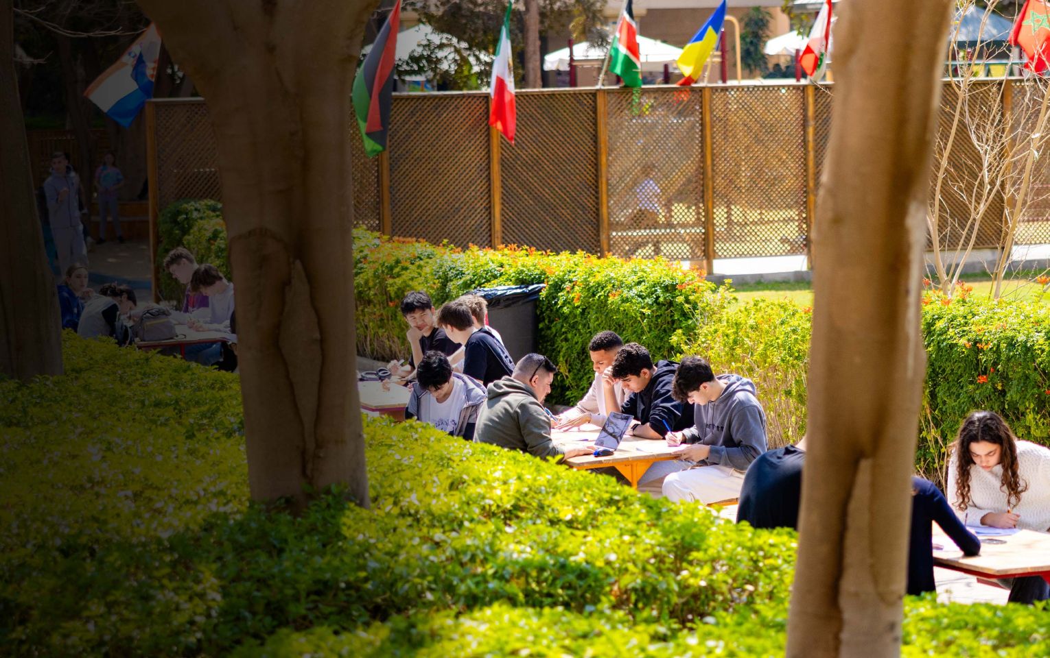 High-Speed Internet for Learning - International School in Cairo - Cairo American College