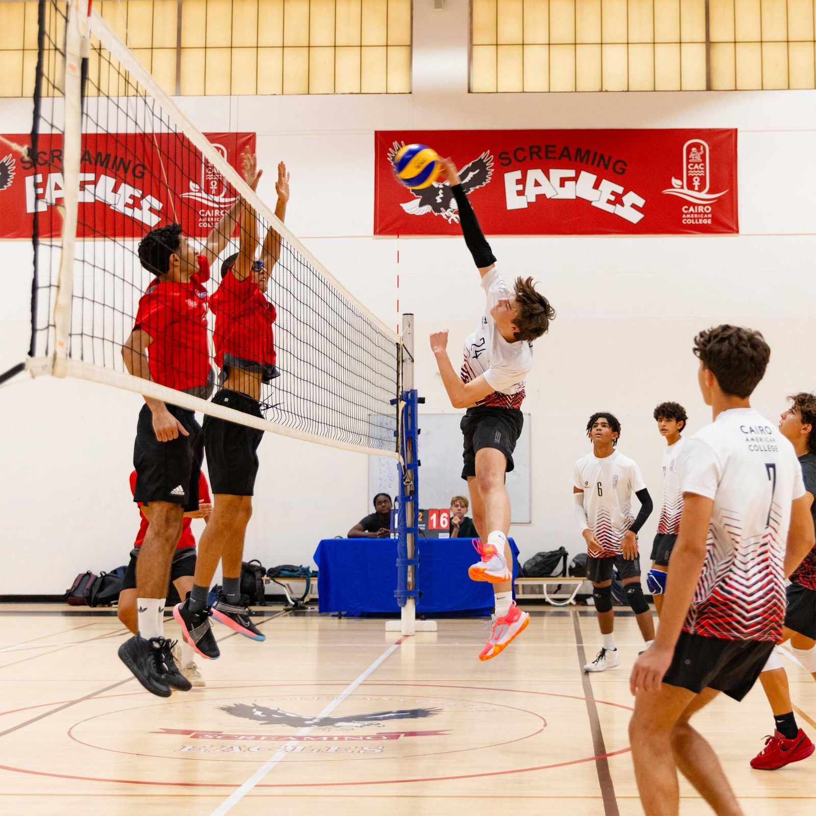High School Athletics - International School in Cairo - Cairo American College
